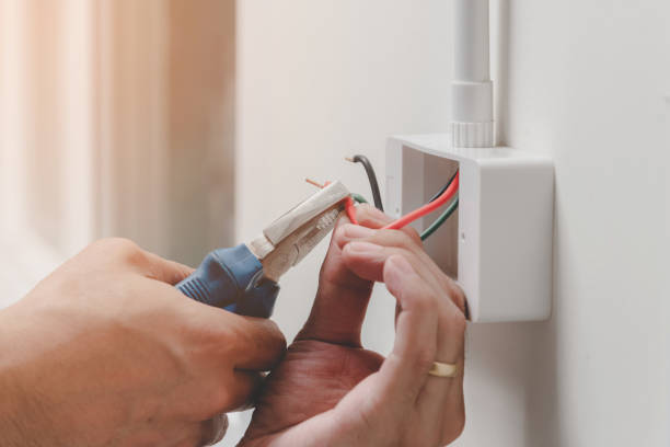 Best Electrical Safety Inspections  in Hazlehurst, GA